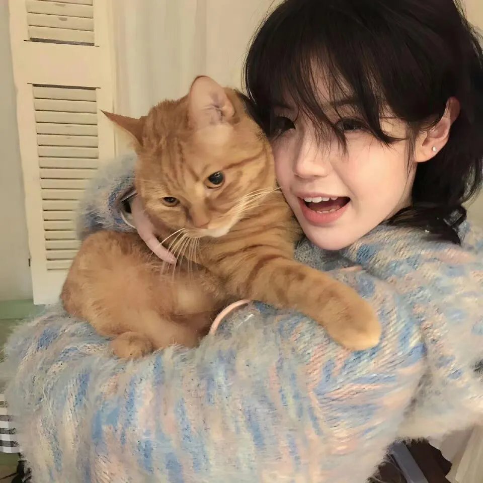 我来也大战四猛虎